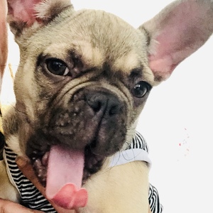 Fundraising Page: Kimberly Tammaro